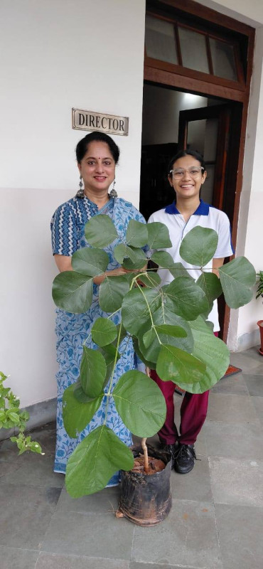 Aadhya Bhatnagar IX gifted a  Tree  Palash( flame of the Forest) on her birthday